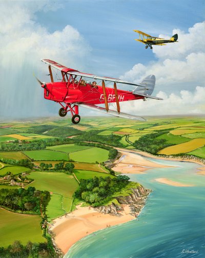 Mothecombe Moths by Richard Wheatland